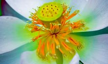 我心中的一句诗