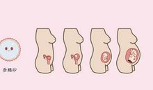 小狗丁丁的故事