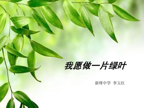 我必须制作一片绿叶