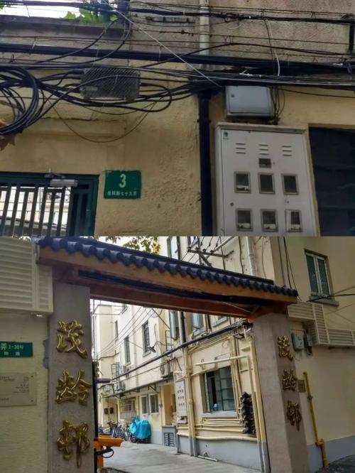 阿姨的花园