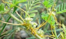 磨难也是一种养料