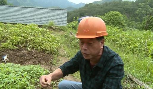 那个声音