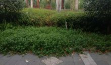 款款书情殷殷我心