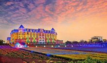 美丽的百万葵园