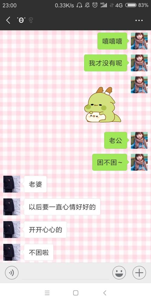 在电脑上玩感觉真好
