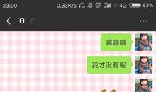 玩电脑的感觉真好