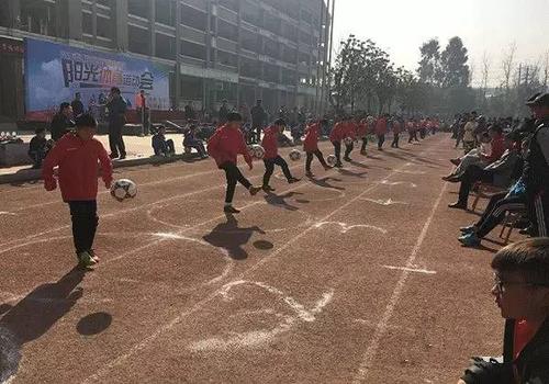 阳光体育