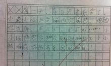 二年级看图写话森林运动会