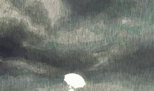 雨中那把美丽的伞