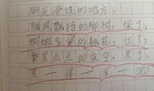 快乐的周末二年级写话