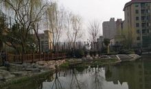 漏泄春光有柳条