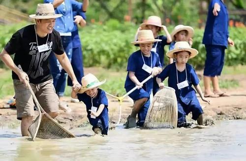 Paddyfield钓鱼