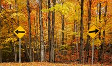 人生路爱在身旁