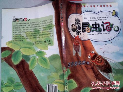 夏天音乐家在昆虫