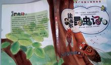昆虫记之夏日音乐家读后感
