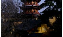 历史将记住南京