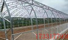 大风大雨也是一种养料