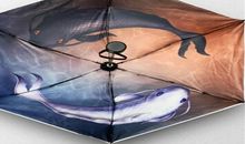 聆听母亲的心声