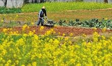 春天原来是这样