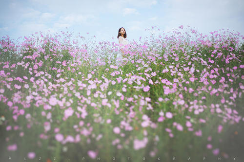 梦见鲜花