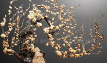 一夜风雪艳梅开