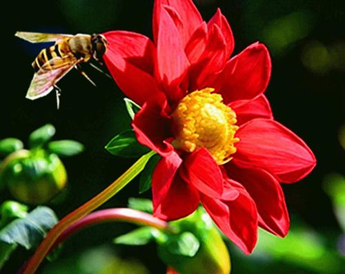 生活对你来说是美丽的