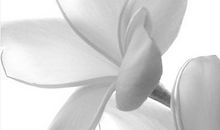 时光深处不怨不悔