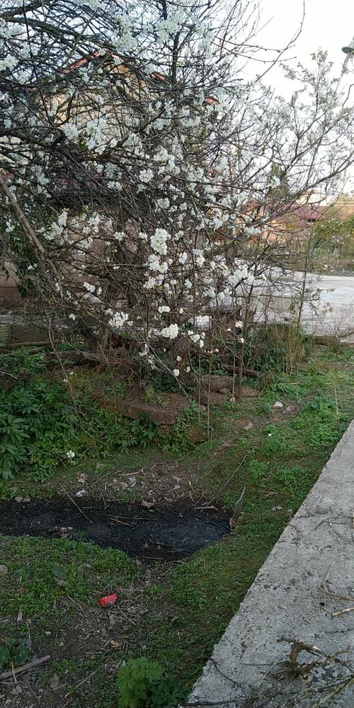 记住旧的家