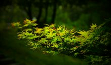 温暖人心的四月