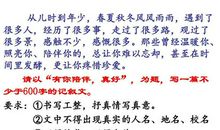 有你陪伴的青春路作文