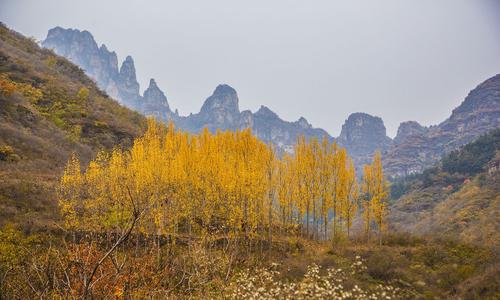 四季在山上