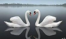 珍惜一刹那的温暖