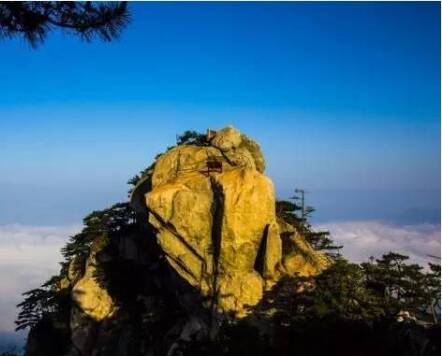 毛发石森林