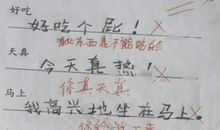 一个与众不同的同学——我