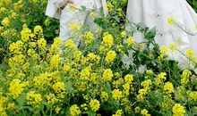 那一天，很幸福