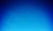 在信任中享受快乐