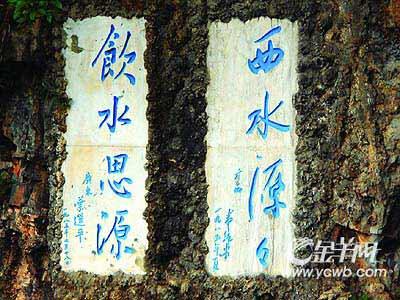 生活感恩节旅游