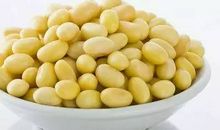 愿成为那一粒大豆