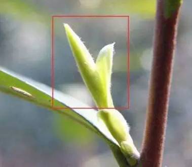 我去了一个非常萌的地方。