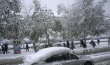 当冬天一场雪来临的时候