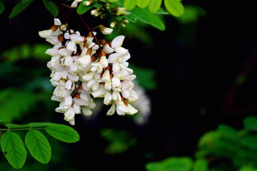 5月制造