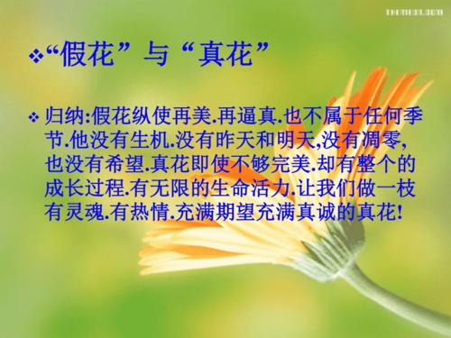 蝉组成