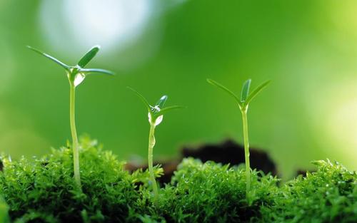 风吹了我们的心