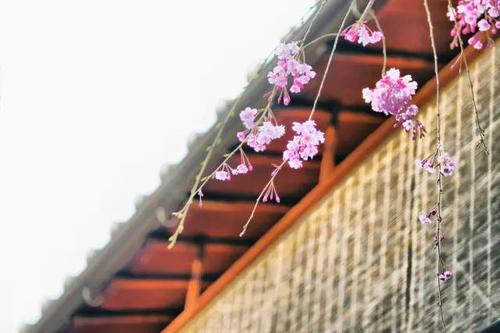 眼睛世界，心脏