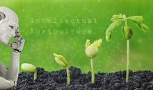 不成为“人工智能”