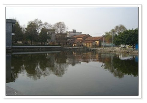 奶奶的小公园