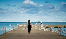 我读懂了大海的哭诉