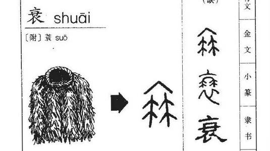 杂项出生