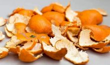 伤痛也是一种养料