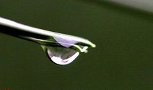 人因三性胜机器